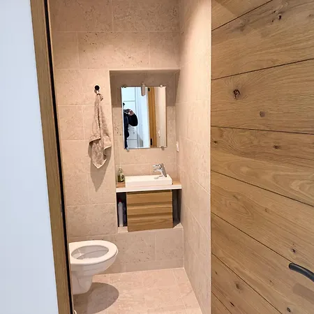 Apartment Charmant Appartement Neuville-sur-Saone